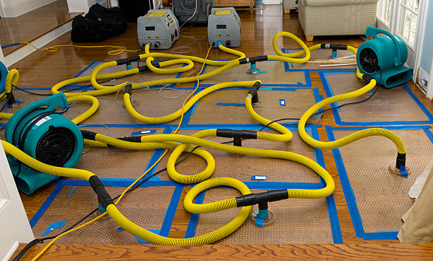 Professional Crawl Space Water Removal technician working in Aumsville, OR